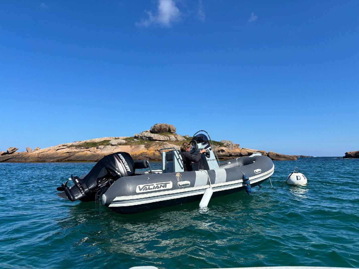 Valiant 500 Sports | Pinocchio