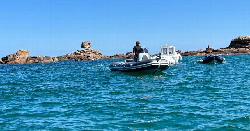 Valiant 500 Sports | Pinocchio