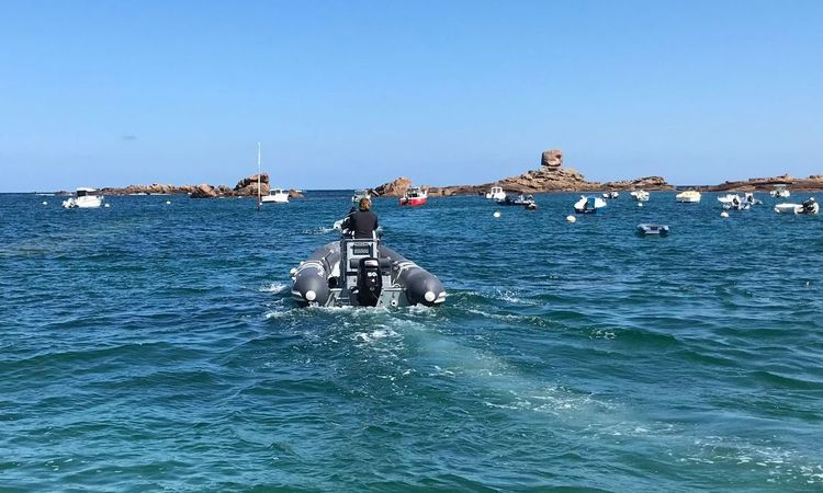 Valiant 500 Sports | Pinocchio