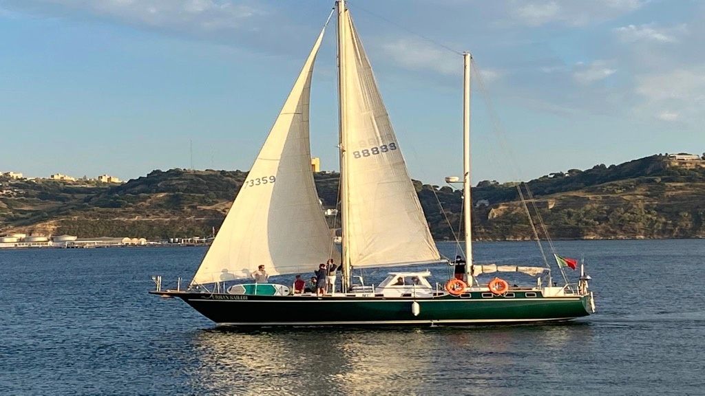 Mikado 56 | Urban Sailor