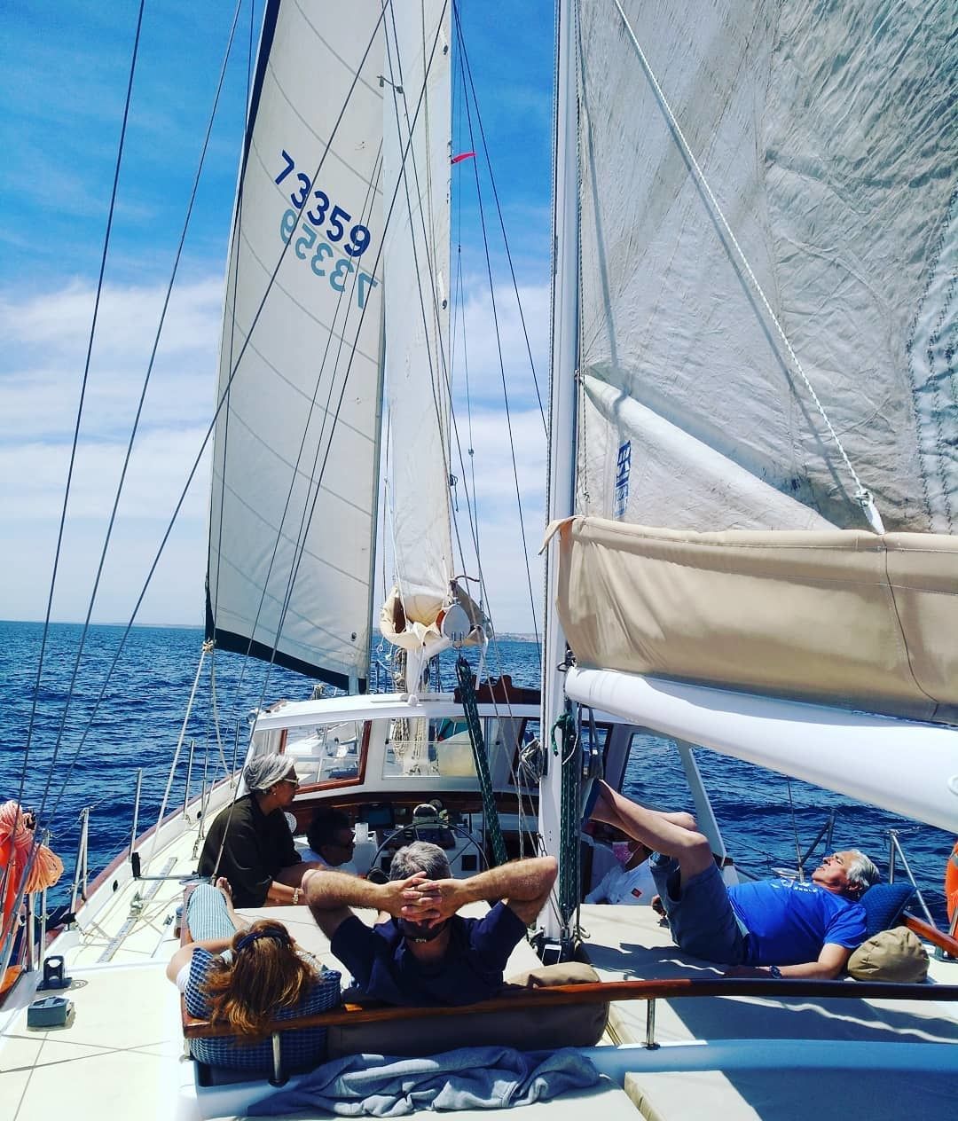 Mikado 56 | Urban Sailor