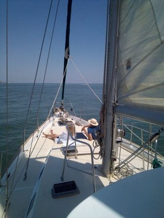 Mikado 56 | Urban Sailor