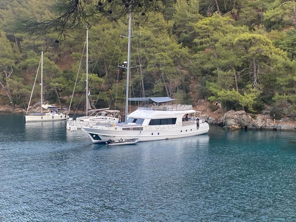 Gulet 82 | Albatros M