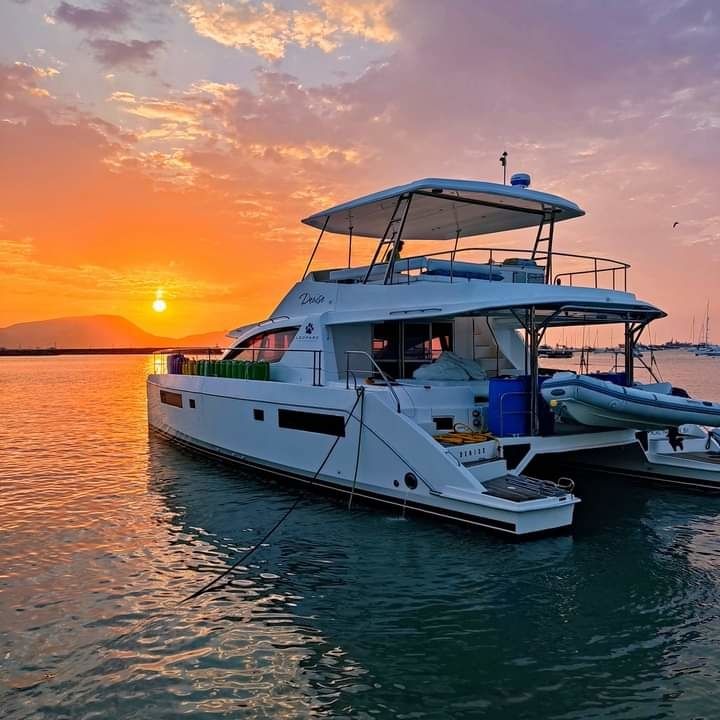 Leopard 51 PC | Valhalla