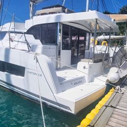 Bali Catspace | Arcadia