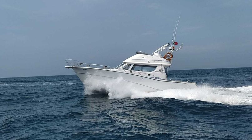 Rodman 1250 | Zafiro