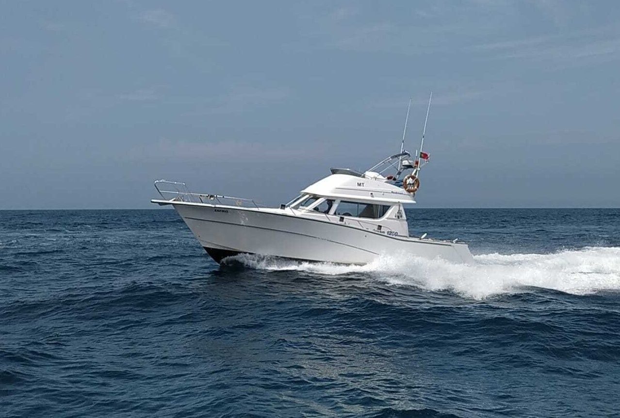 Rodman 1250 | Zafiro