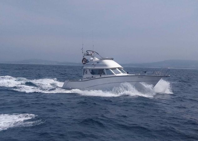 Rodman 1250 | Zafiro