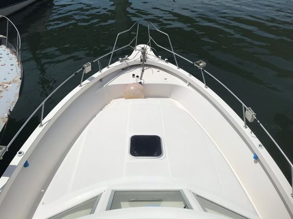 Rodman 1250 | Zafiro