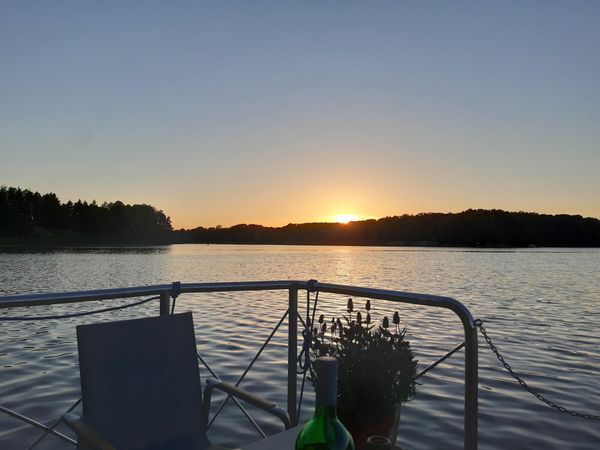 Rivo Campi 300 | Moses