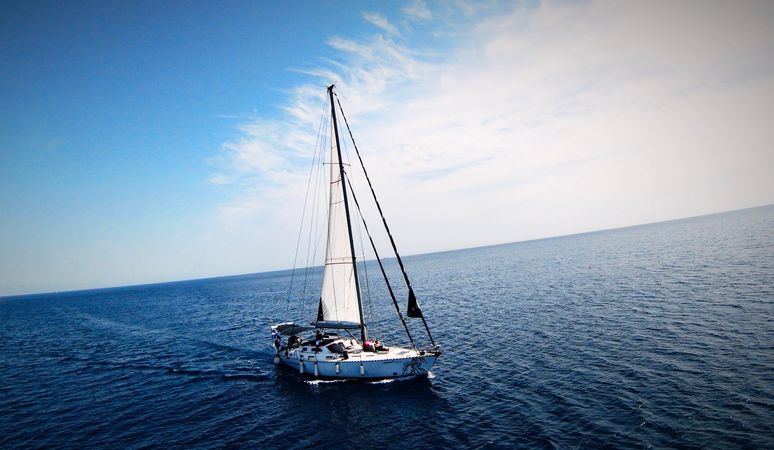 Dromor Venus 16 | Pacific