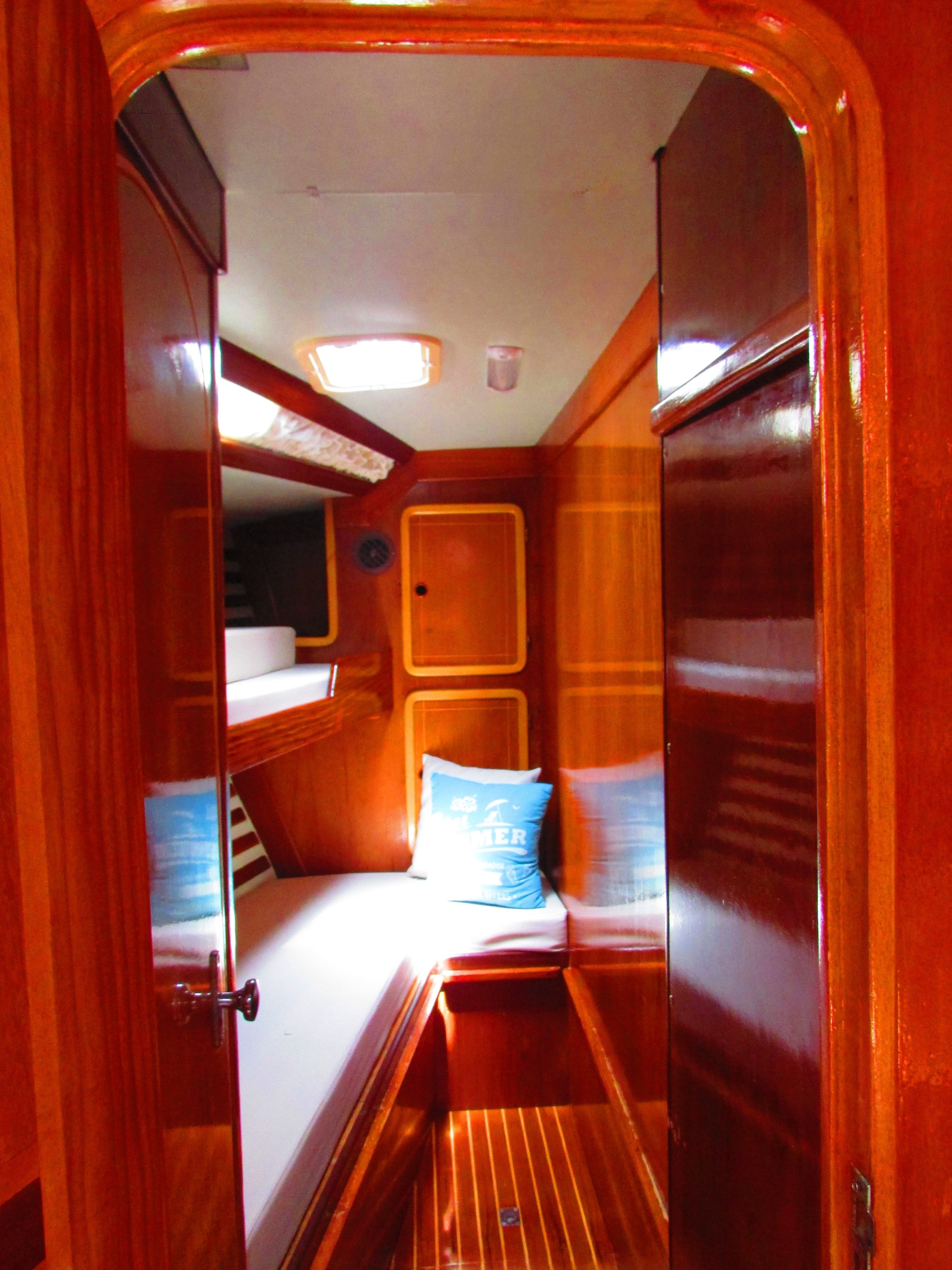 Dromor Venus 16 | Pacific