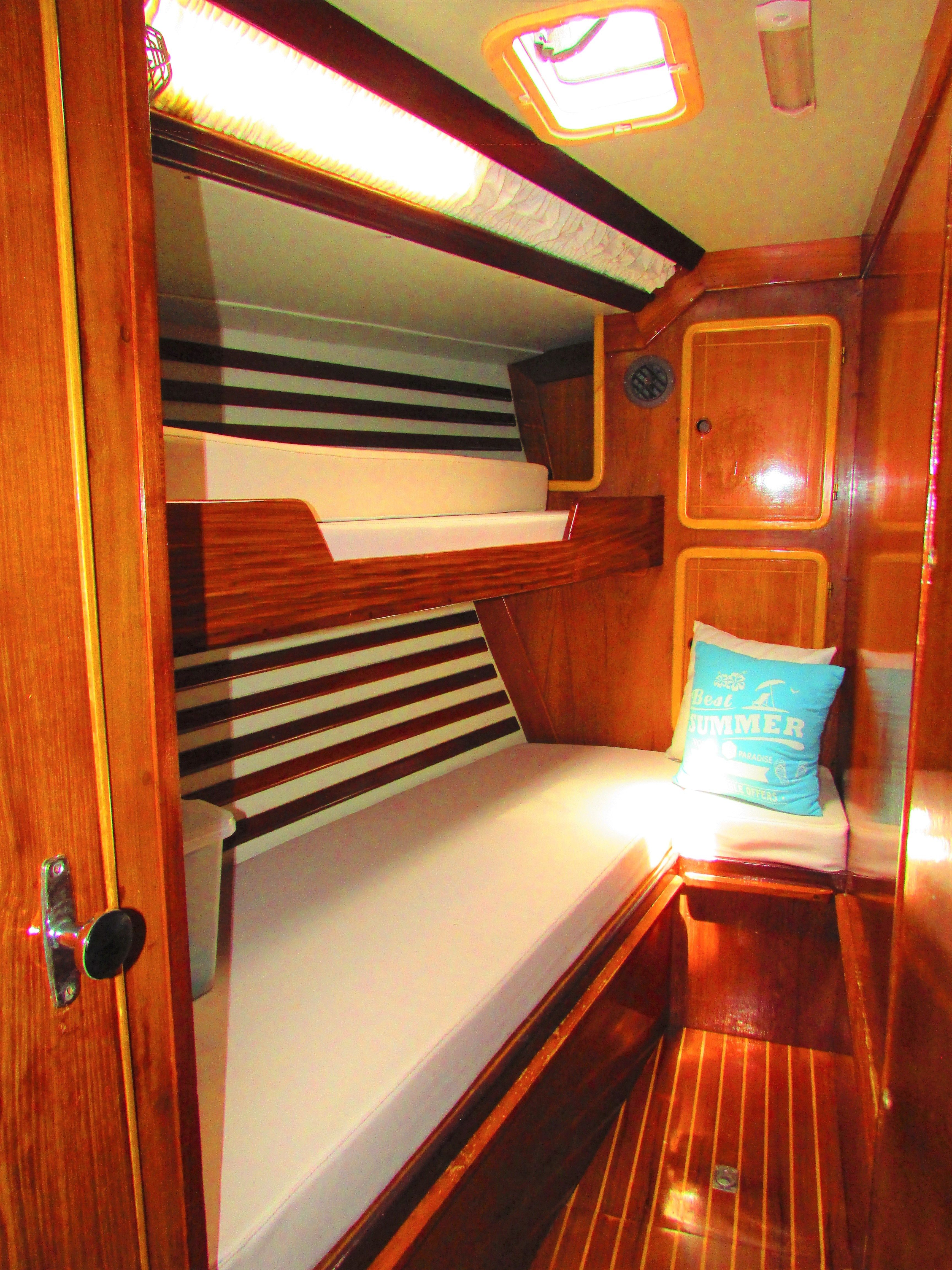 Dromor Venus 16 | Pacific