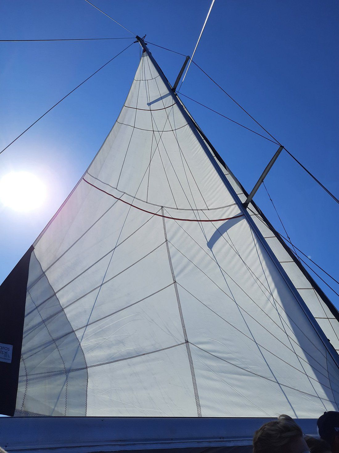 Dromor Venus 16 | Pacific