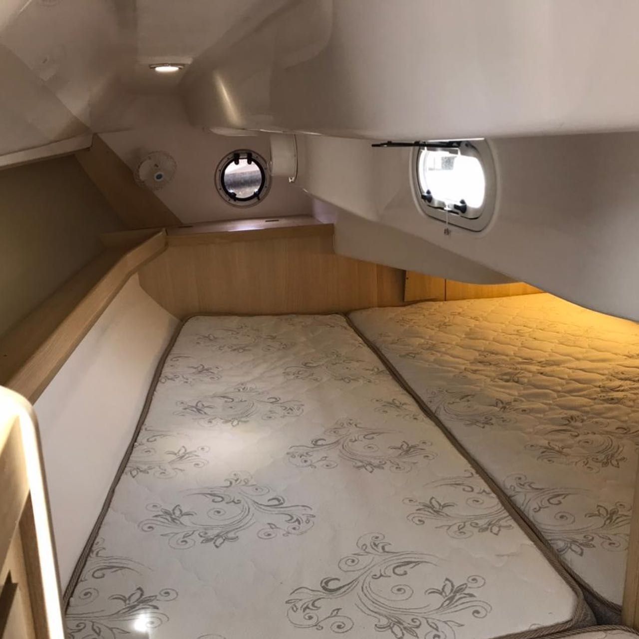 Delta 365 | Damis Jolie