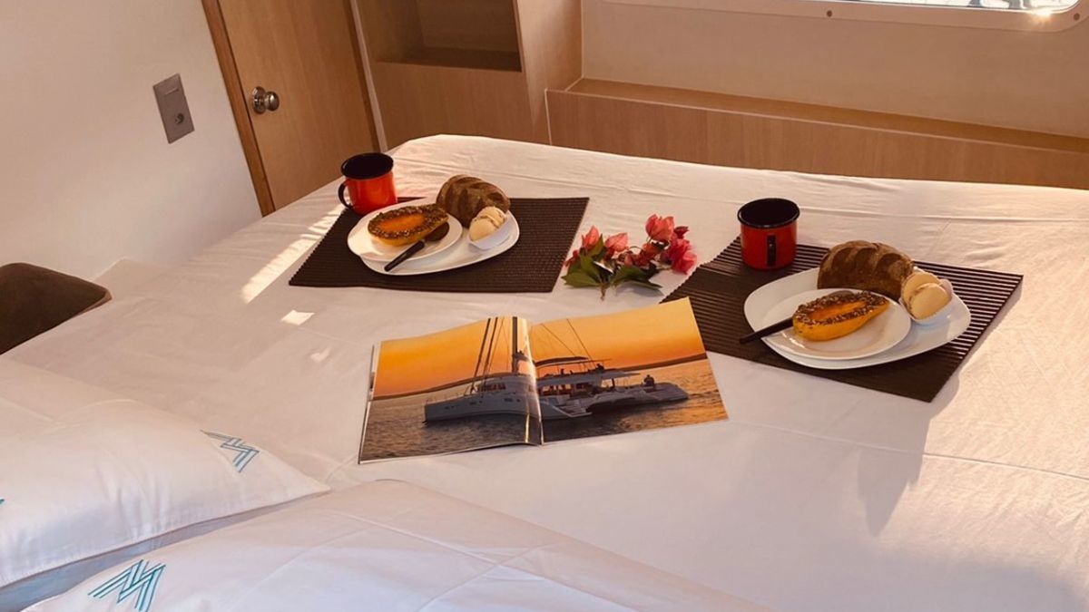 Catflash 43 | Kanhka