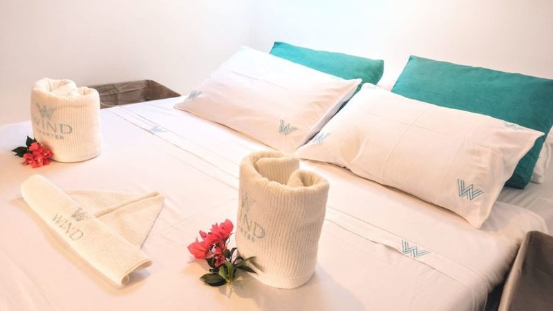 Catflash 43 | Kanhka