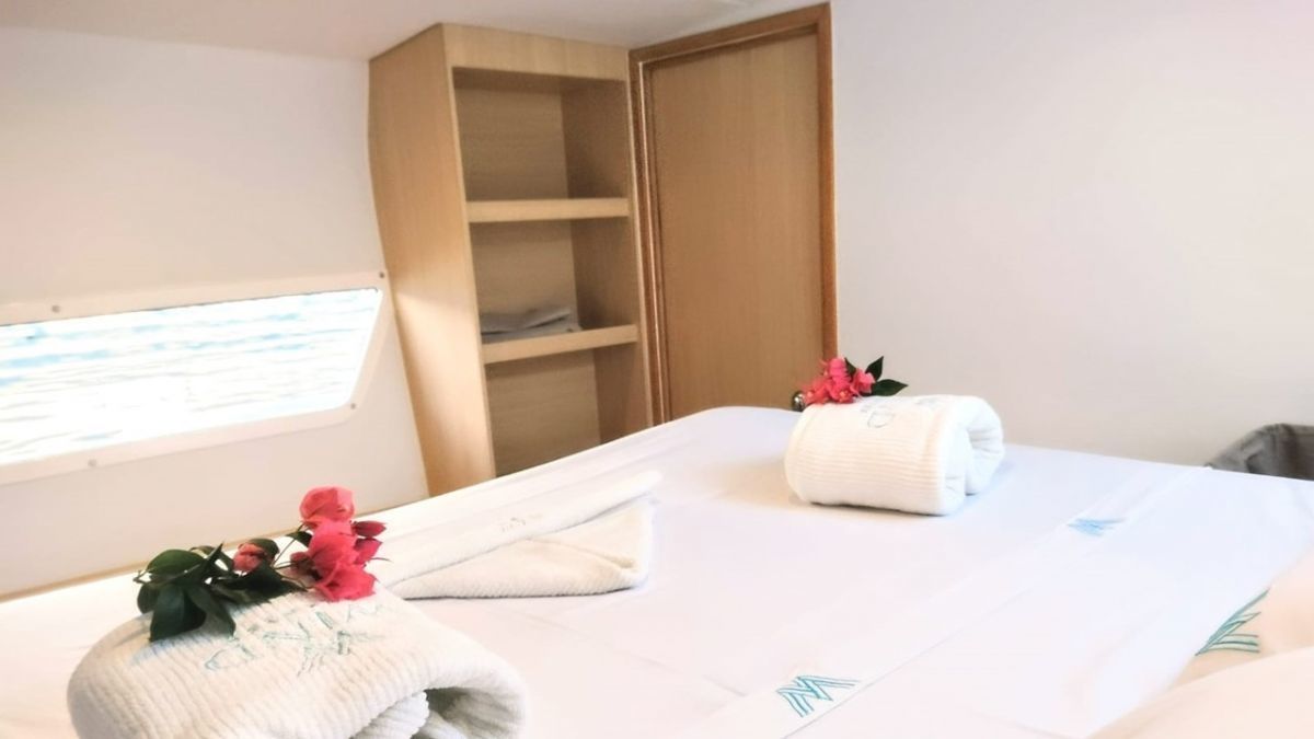 Catflash 43 | Kanhka