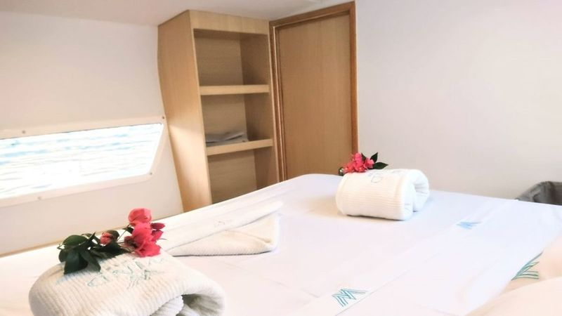 Catflash 43 | Kanhka