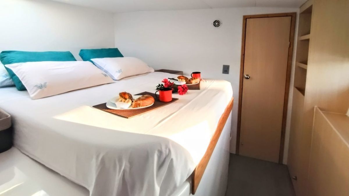 Catflash 43 | Kanhka