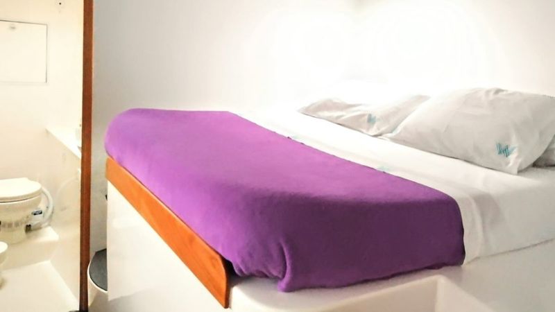 Catflash 43 | Kanhka