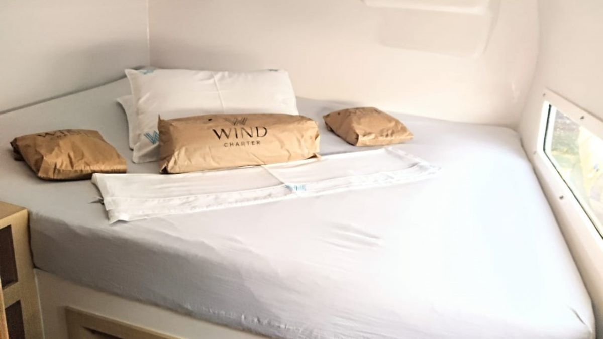 Catflash 43 | Kanhka