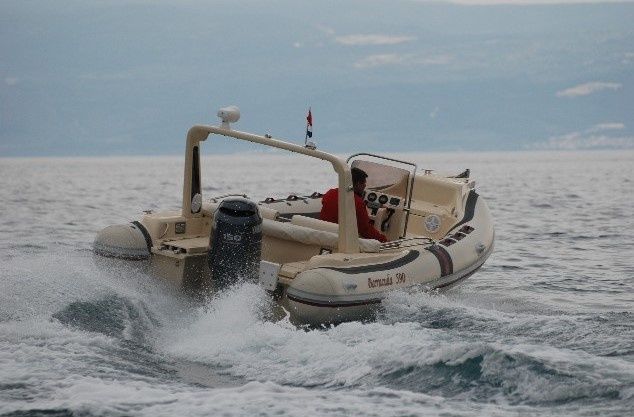 Barracuda 590 | Barracuda 12