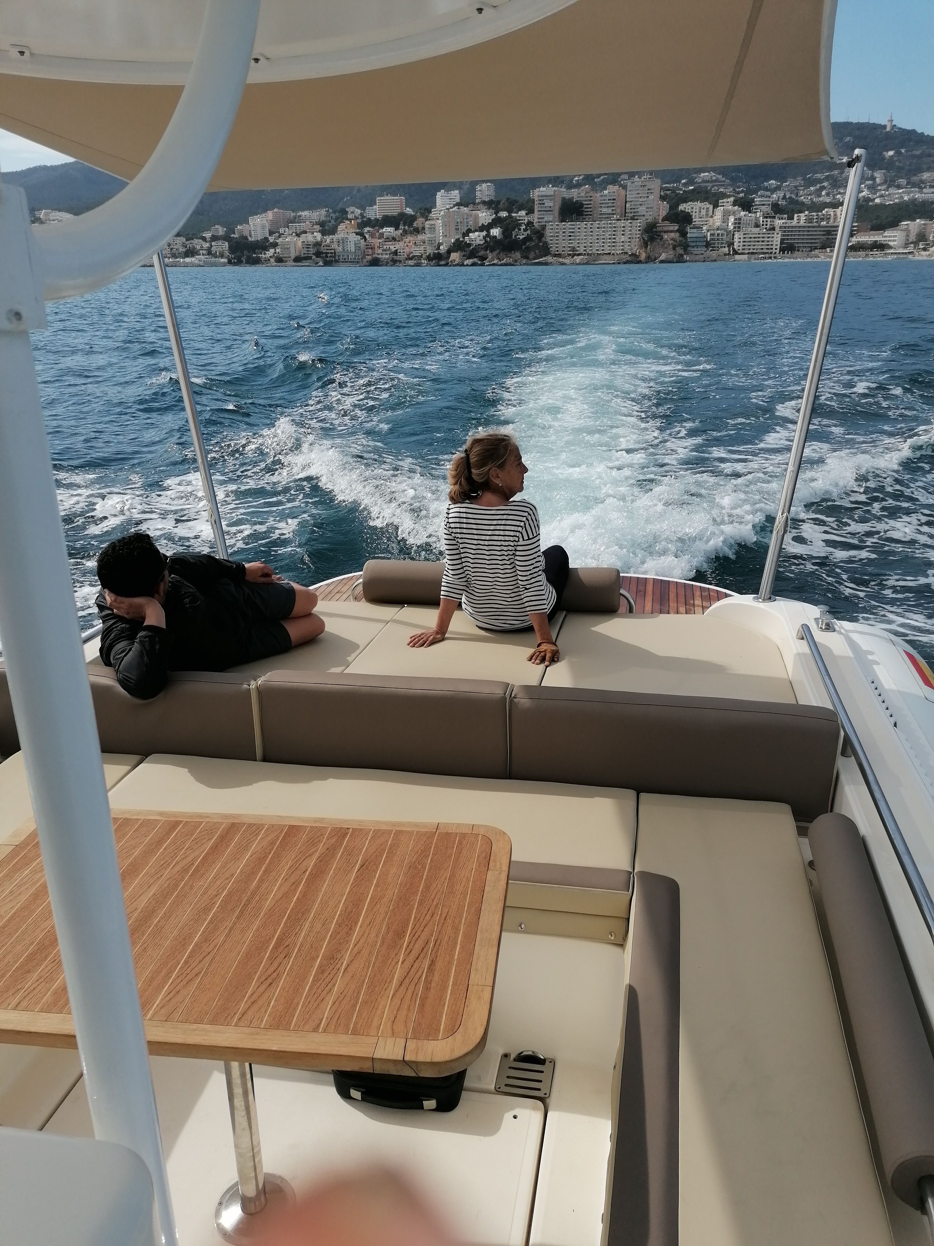 Scanner 1200 Envy | Phoenix