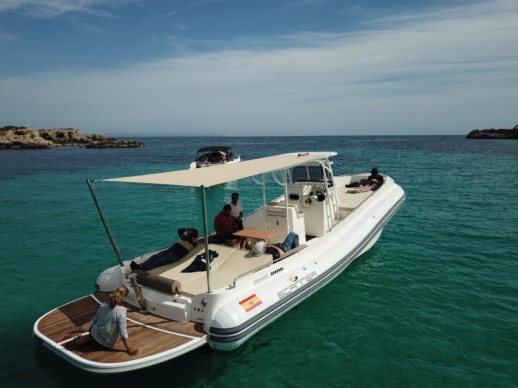 Scanner 1200 Envy | Phoenix