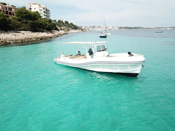 Scanner 1200 Envy | Phoenix