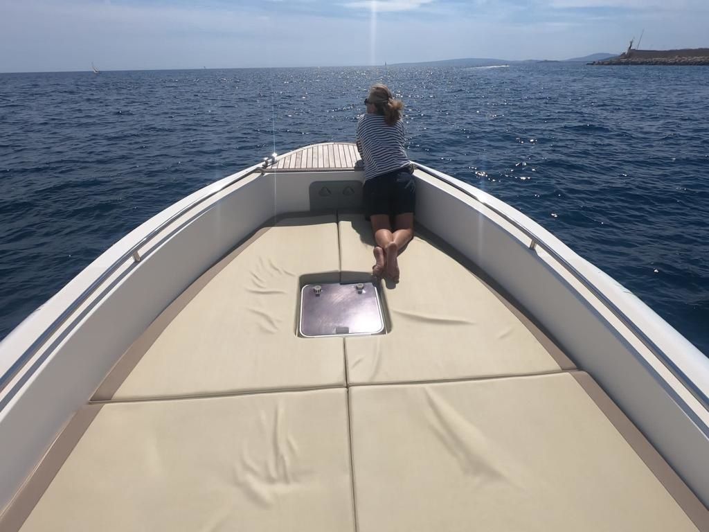 Scanner 1200 Envy | Phoenix