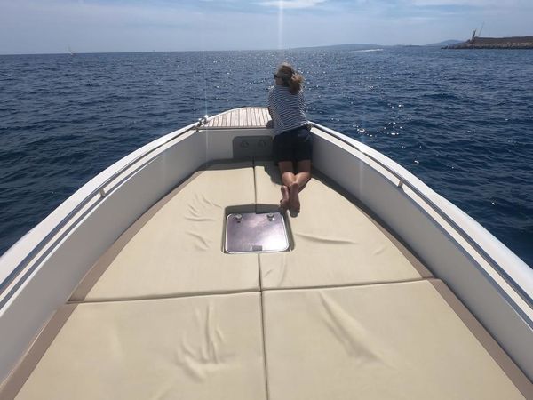 Scanner 1200 Envy | Phoenix