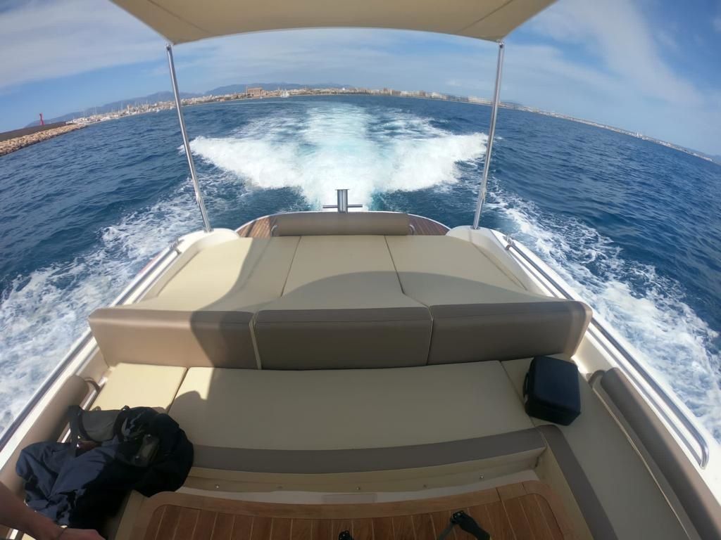 Scanner 1200 Envy | Phoenix