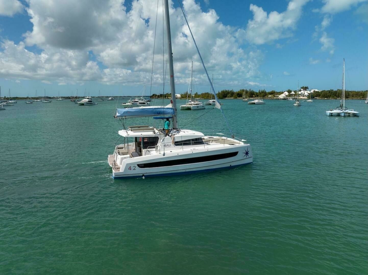 Bali 4.2 | Cat Tales