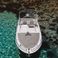 Pacific Craft 700 | Monada