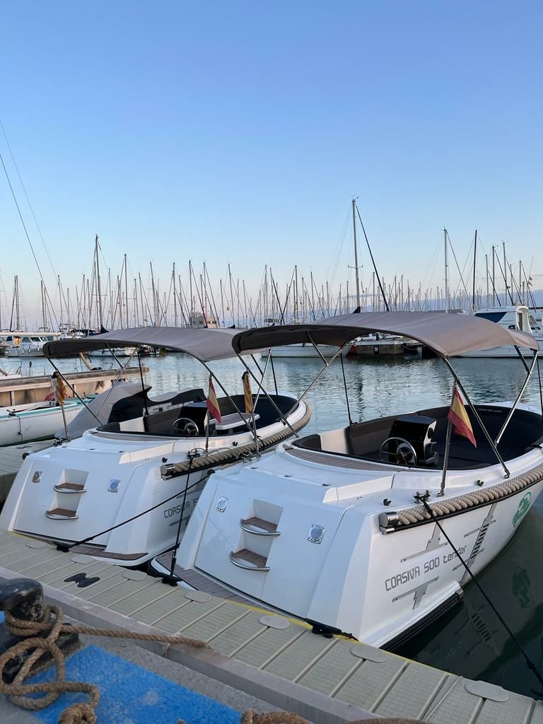 Corsiva 500 | Tender