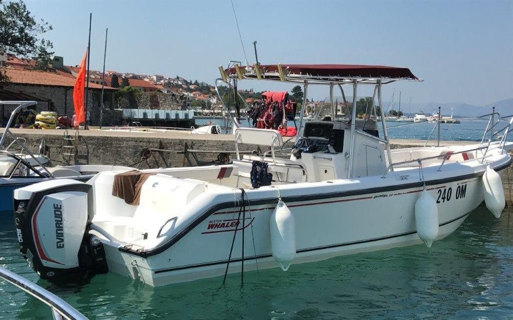 Boston Whaler 26 Outrage | Outrage