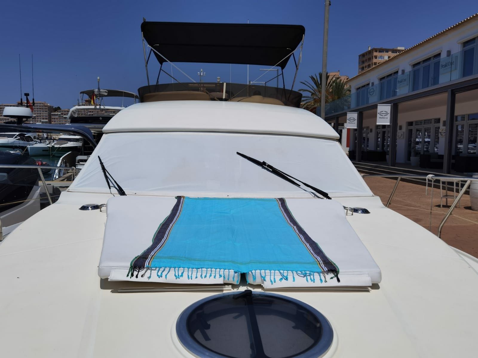 Rodman 41 | Emily Grace 2