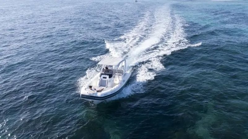 Joker Clubman 28 | Sinatra