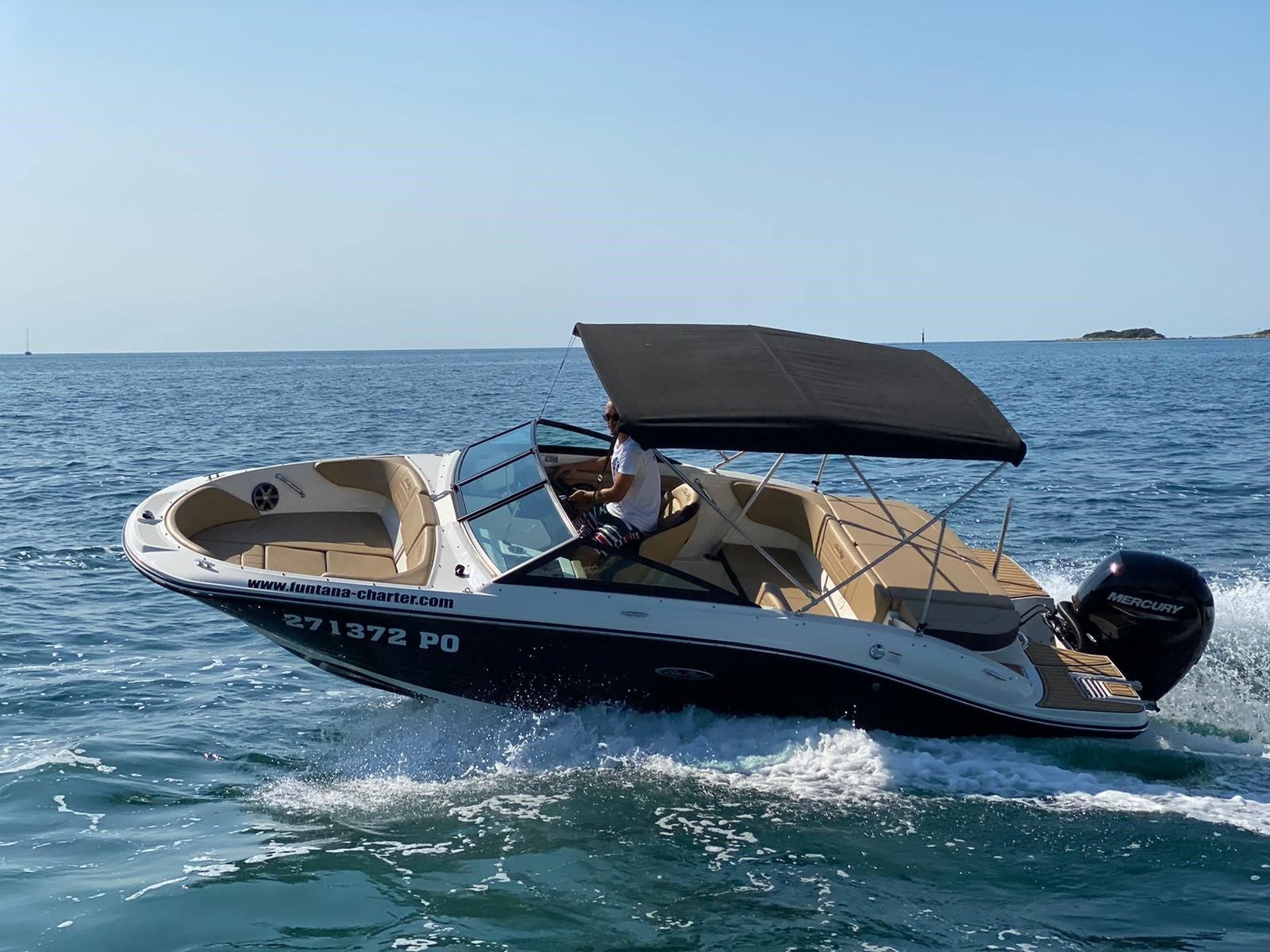 Sea Ray 19 SPX | OB Black