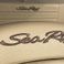 Sea Ray 19 SPX | OB White