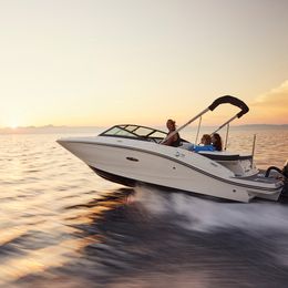 Sea Ray 19 SPX | OB White