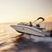 Sea Ray 19 SPX | OB White