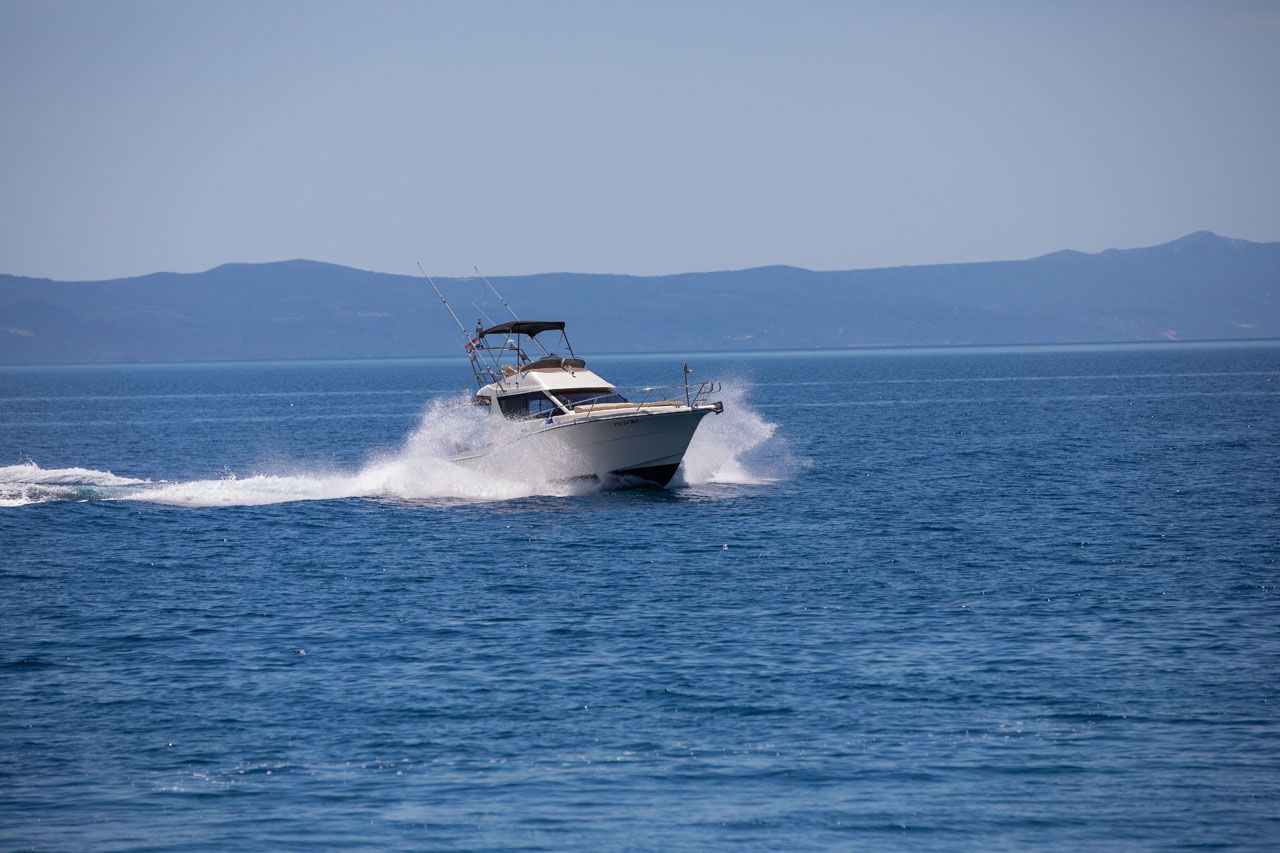 Rodman 1040 | Gabriela