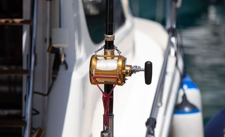 Rodman 1040 | Gabriela