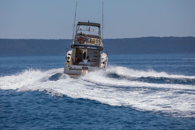 Rodman 1040 | Gabriela