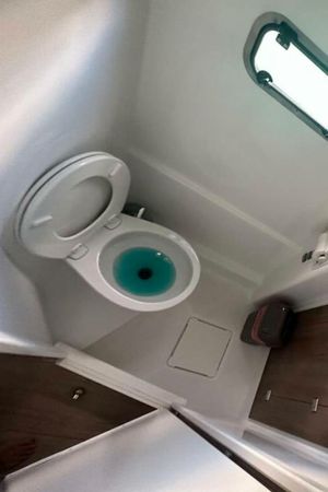 Bali Catspace | Miro Bot