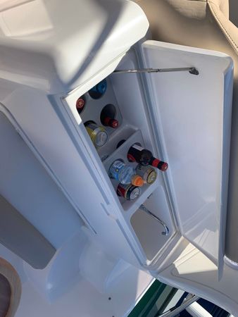 Faeton 29 Scape | Estrella