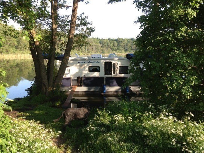 Technus Water Camper 1200 | Francis Drake