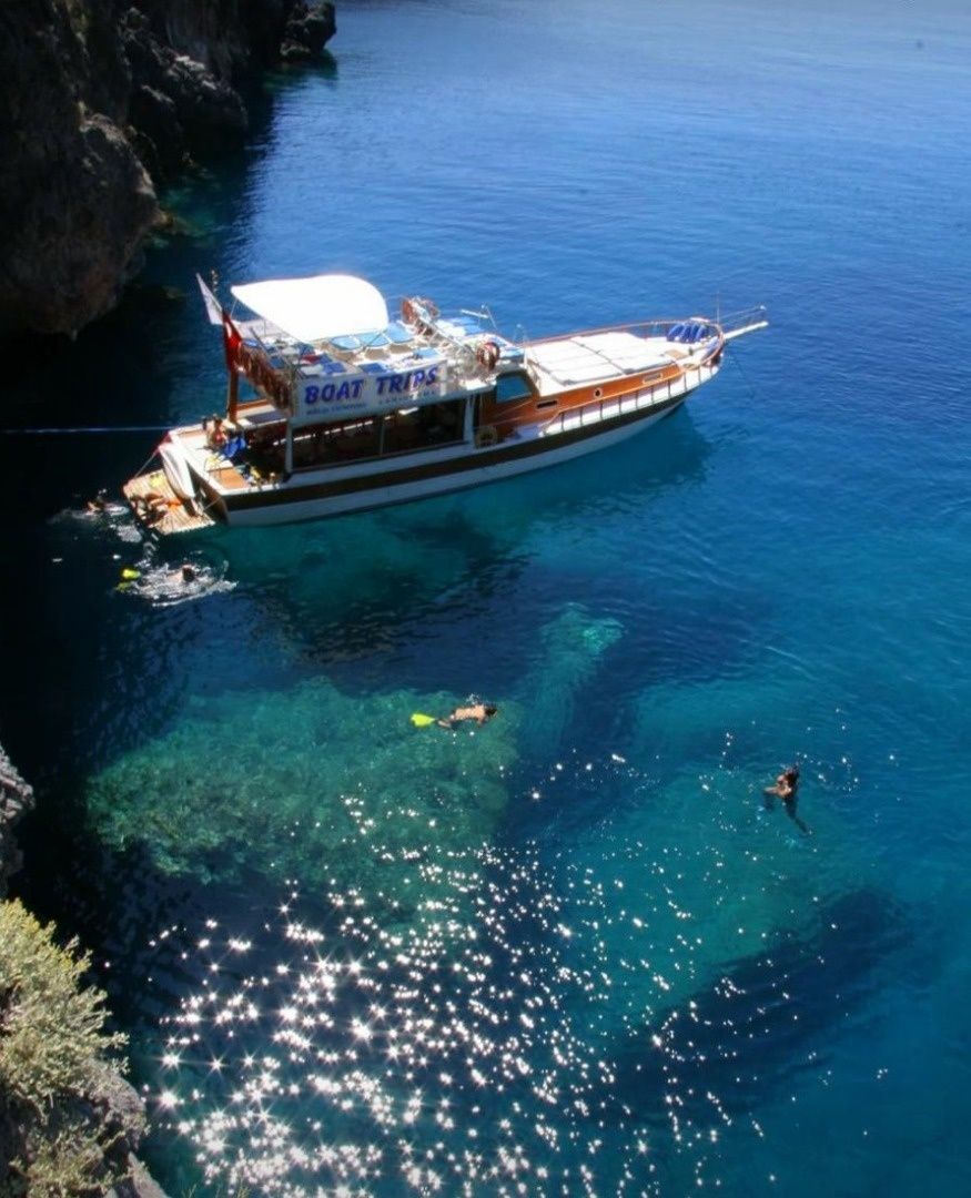 Custom Built 56 | Melis